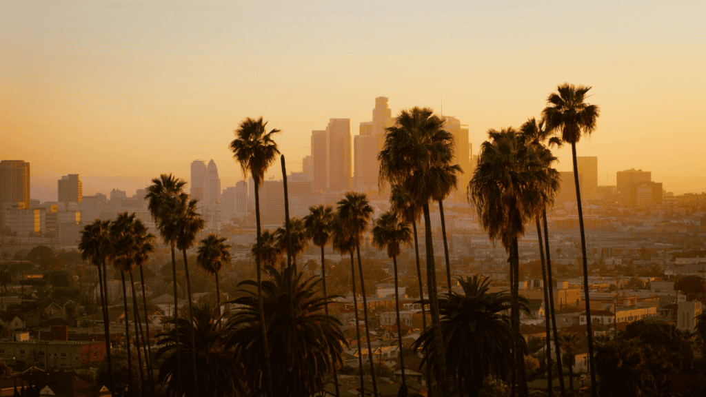secondary organic aerosol LA